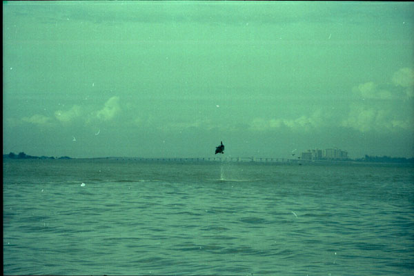 03. Film05foto014